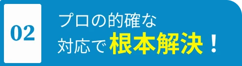 プロの的確な対応で根本解決！